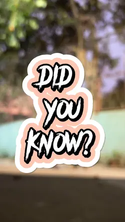 Did you know?