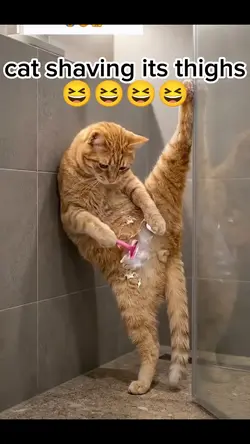 cat shaving its thig