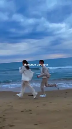 Flamenco paranoia 