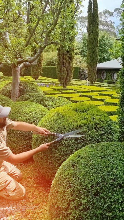 Gardening