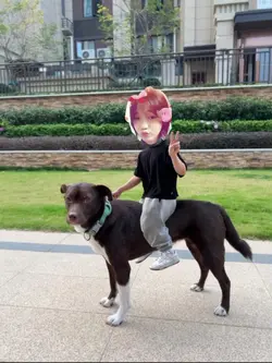 mẫu ghép bên trung 