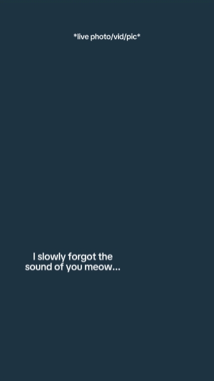 Islowlforgotthesound