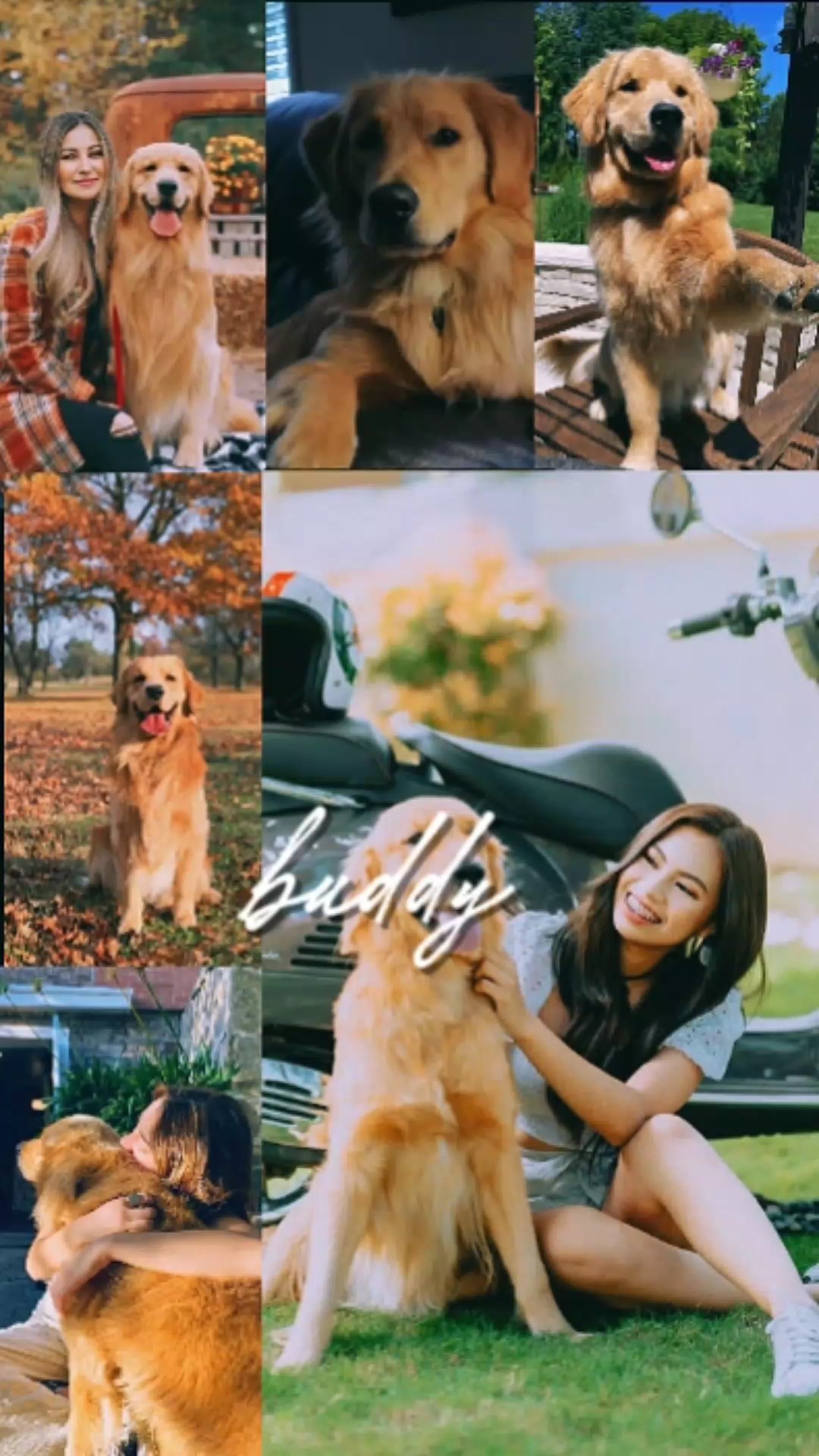 My dog 