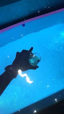 pela as ruas que pas