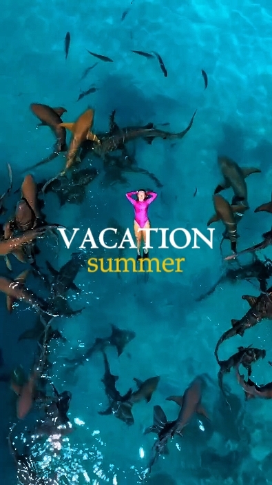 Vacaciones de verano