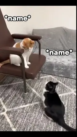 i will win the fight