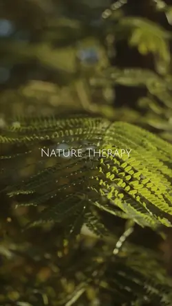 Nature Therapy