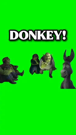 DONKEY!