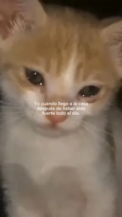 Triste