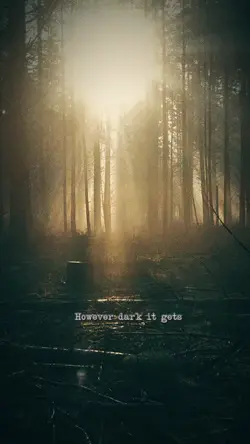 The Light