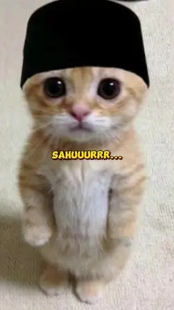 sahuuurrr mimi peri