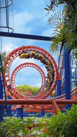 Parque de Diversões🏆