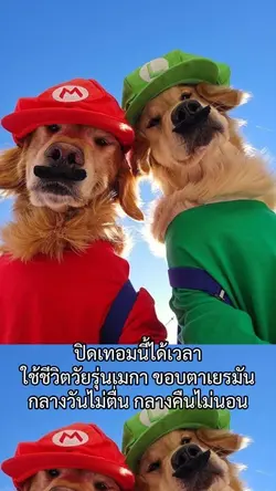 กลางวันไม่ตื่น