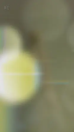 sembilu penikam jiwa