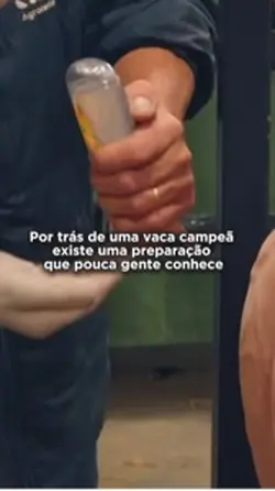 Pecuária