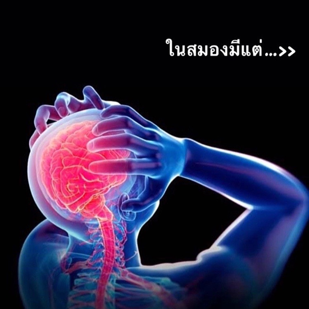 ในสมองมีแต่ 