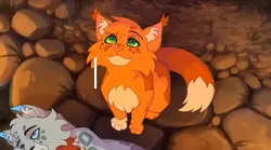 WarruorCats freeclip