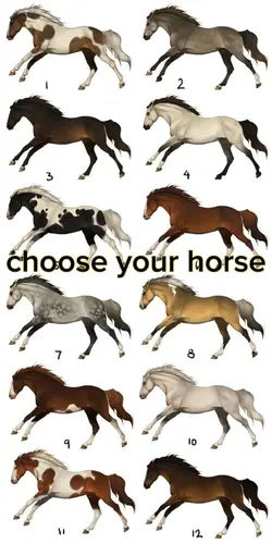 choose your horse