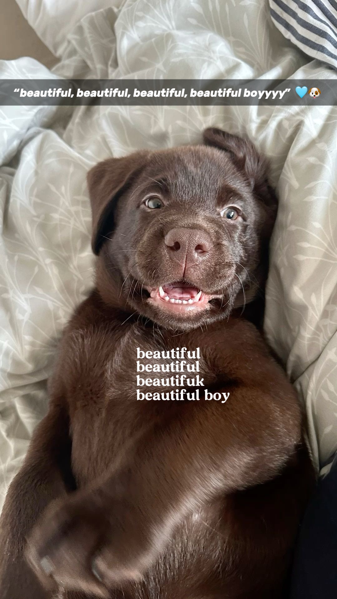 Menino bonito