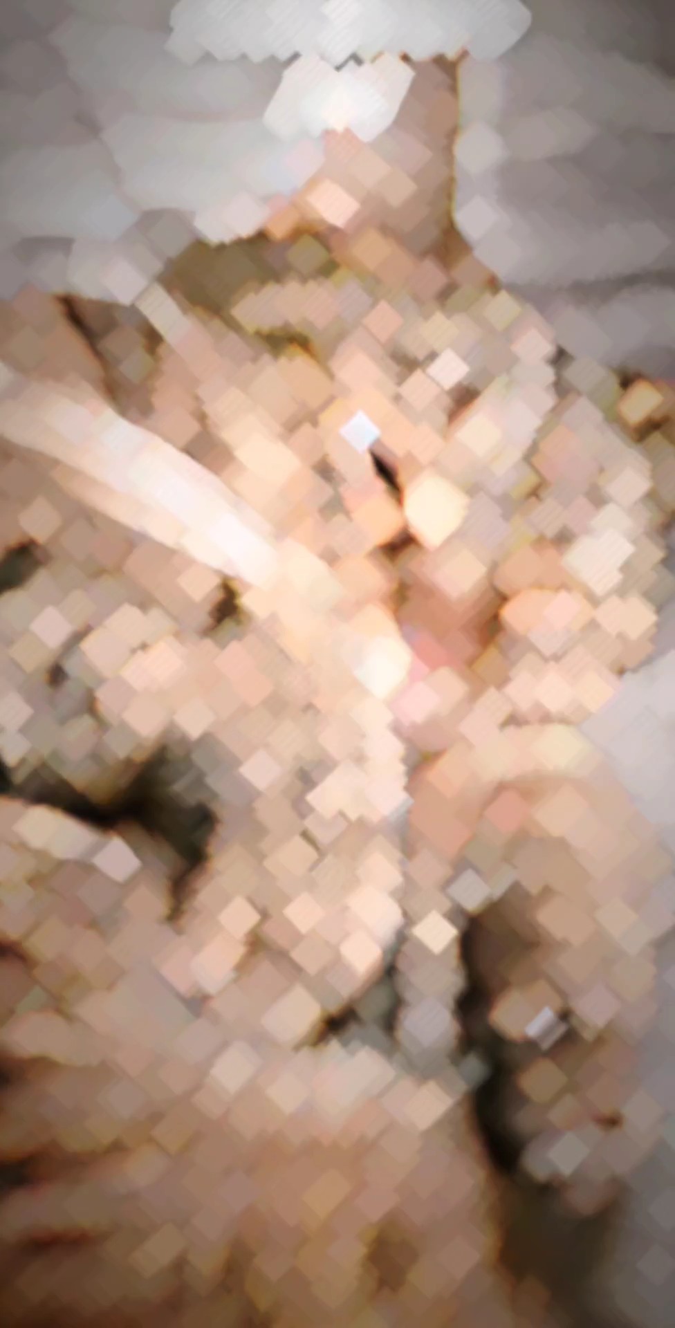 キセキ テンプレート