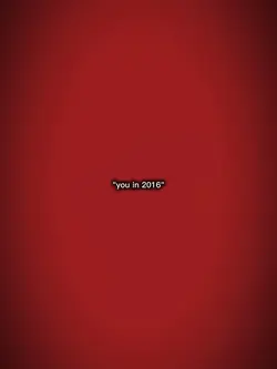 you in2016/206
