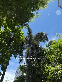 🤍💚