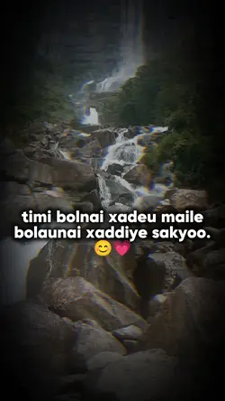 bolnai xodeu