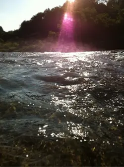 静かな川の流れ
光と水のきらめき