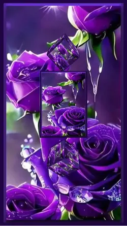 purple rose