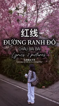 ĐƯỜNG RANH ĐỎ 🎵