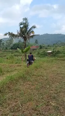 Kacapi Suling Merdu 