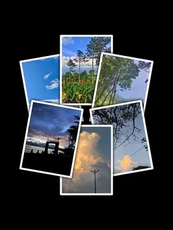 6Pic Clip Aesthetic