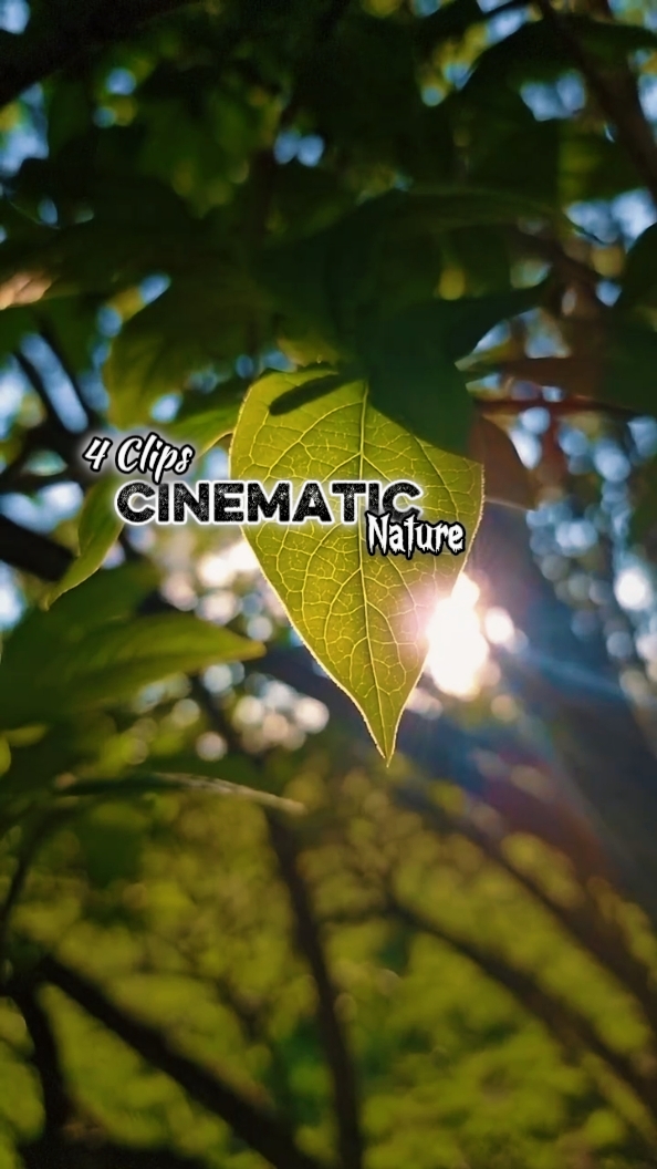 Cinematic 4 Clips 