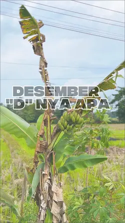 Desember D nya apa