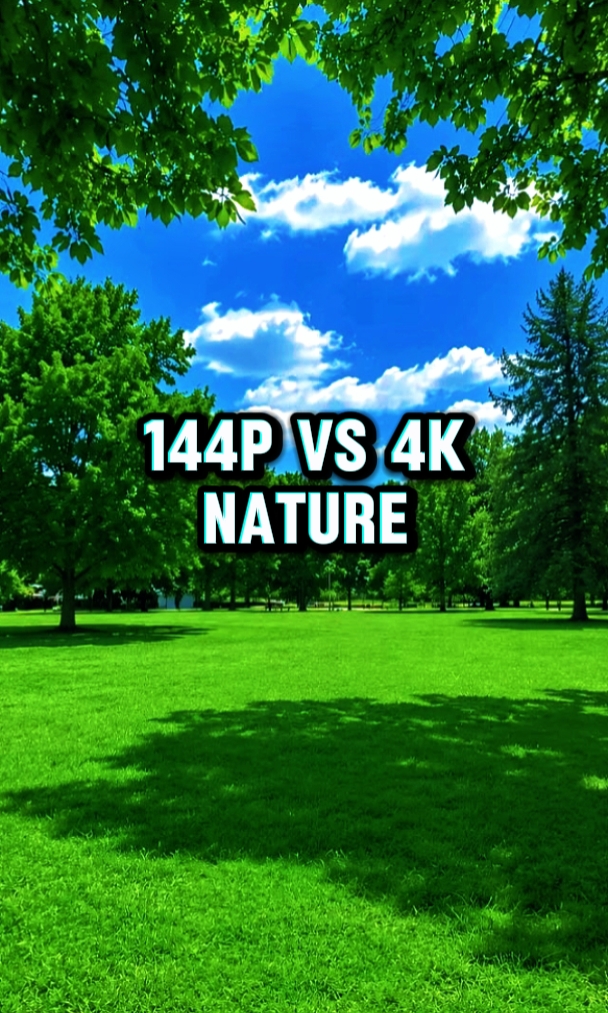 144p vs 4k trending
