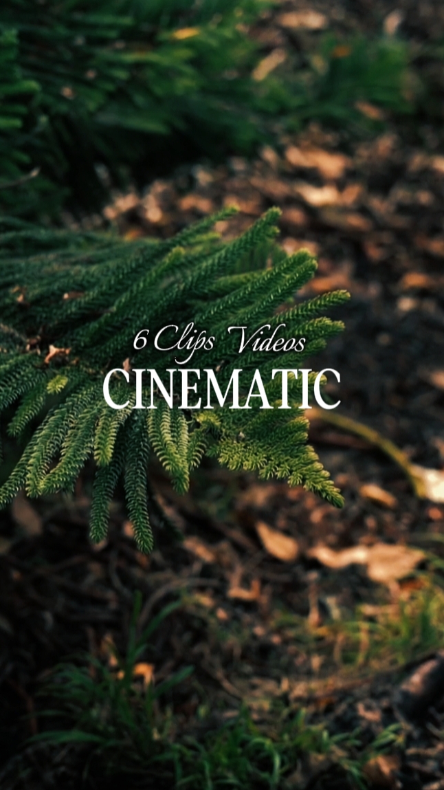 6Clips cinematic