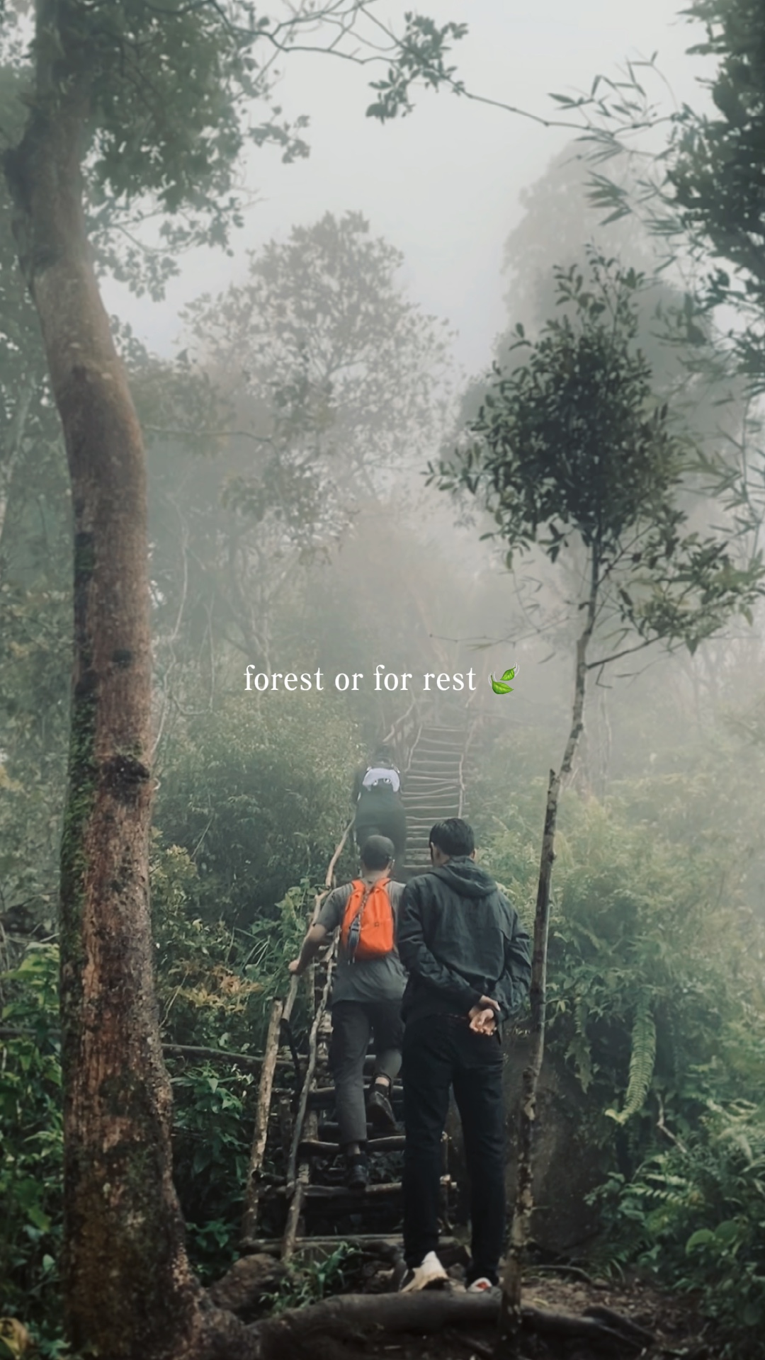 CINEMATIC VIDEO FOR
