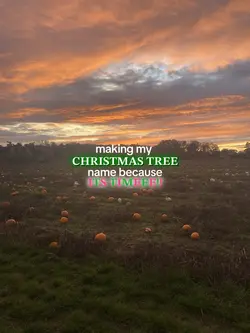 𝐂𝐡𝐫𝐢𝐬𝐭𝐦𝐚𝐬 𝐭𝐫𝐞𝐞 𝐧𝐚𝐦𝐞🎄