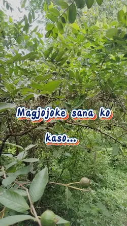Magjojoke sana