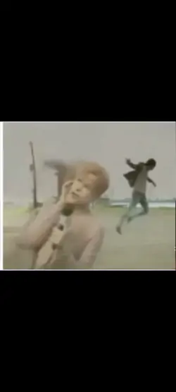 태풍