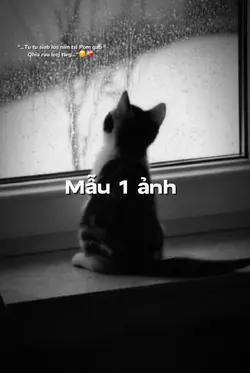 “…Tu tu siab los nim