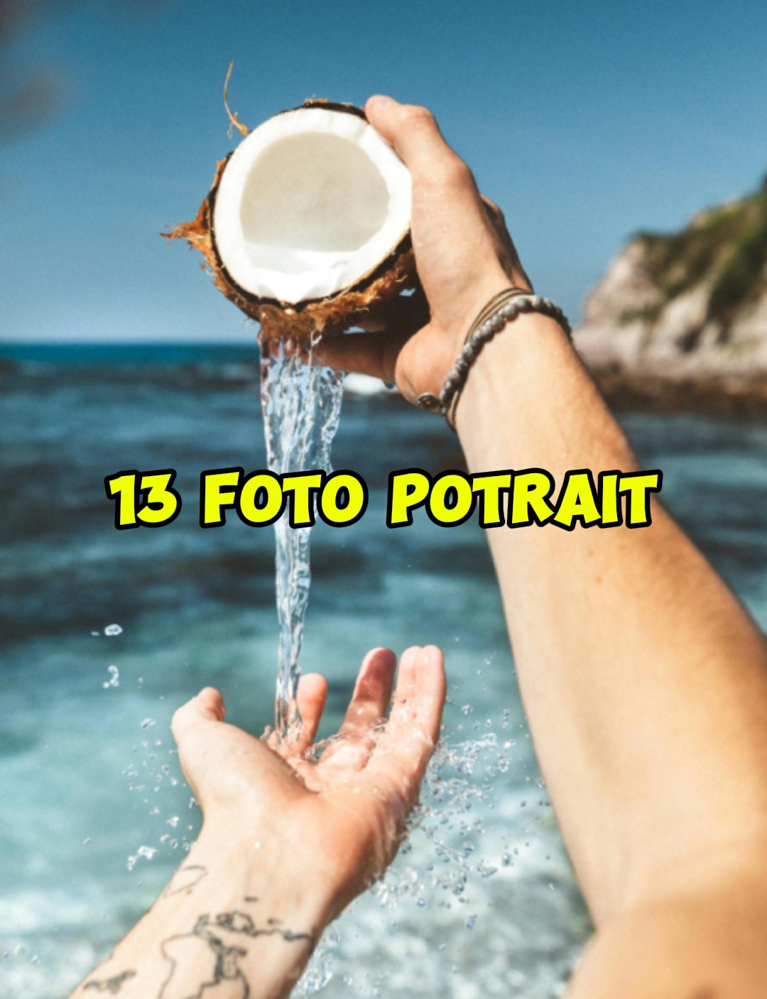 13 foto potre