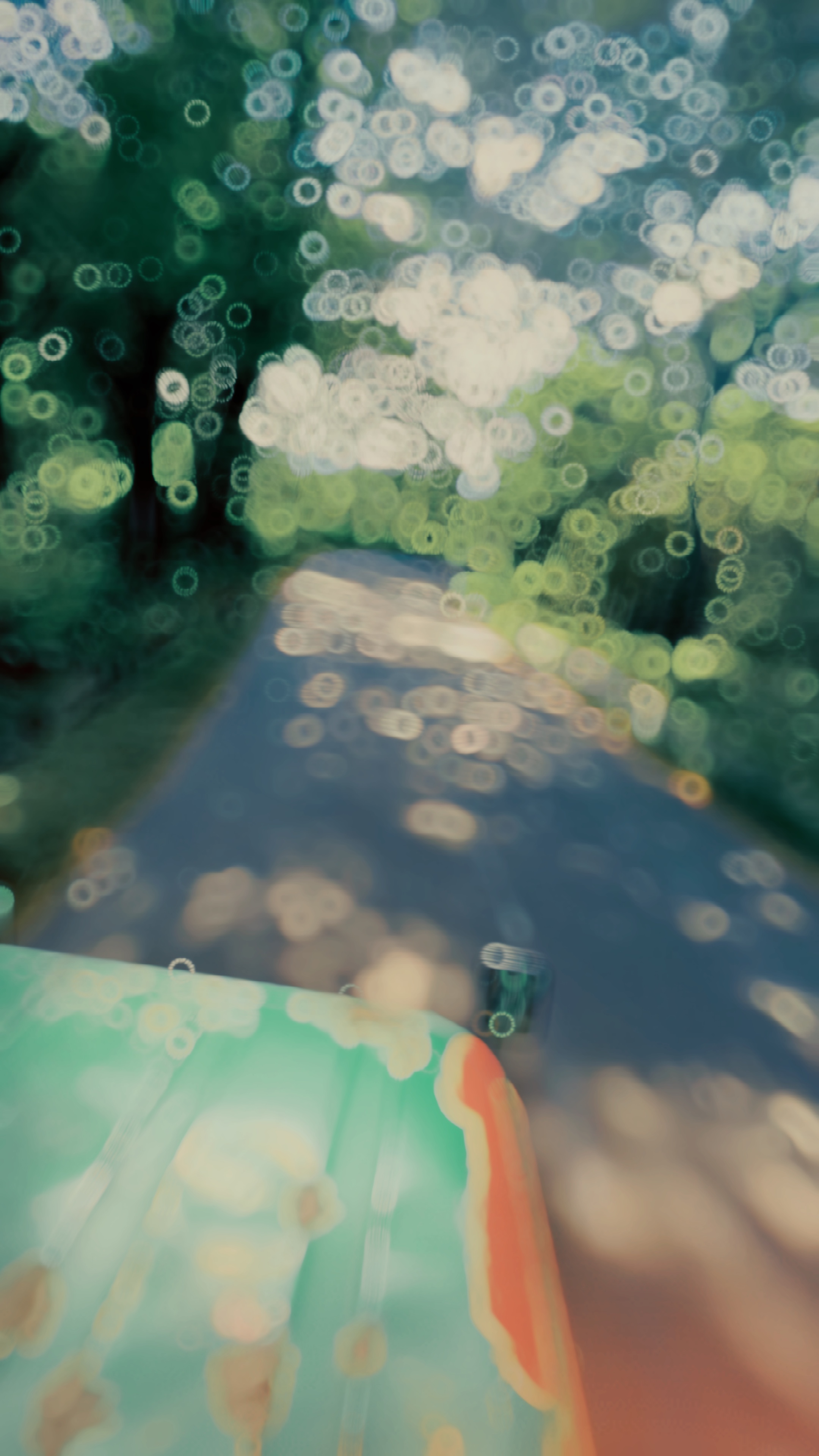 Slowmotion video #1