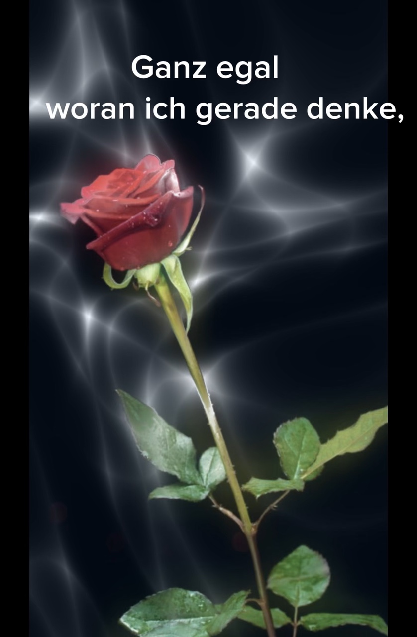 Ich denk‘ an dich ❤️