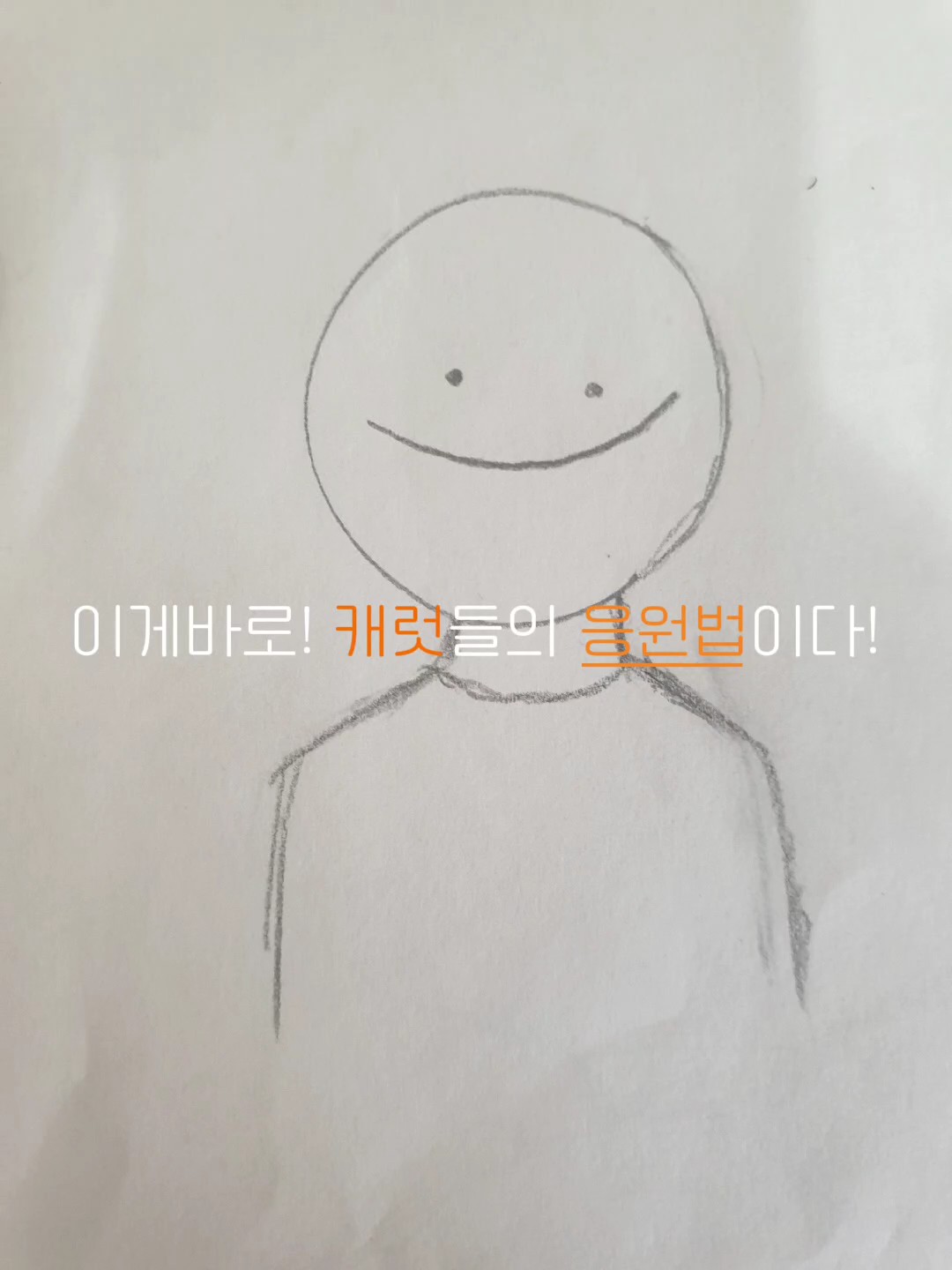 이게바로! 캐럿들의 응원법이다!