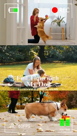 Fun Time with My Dog