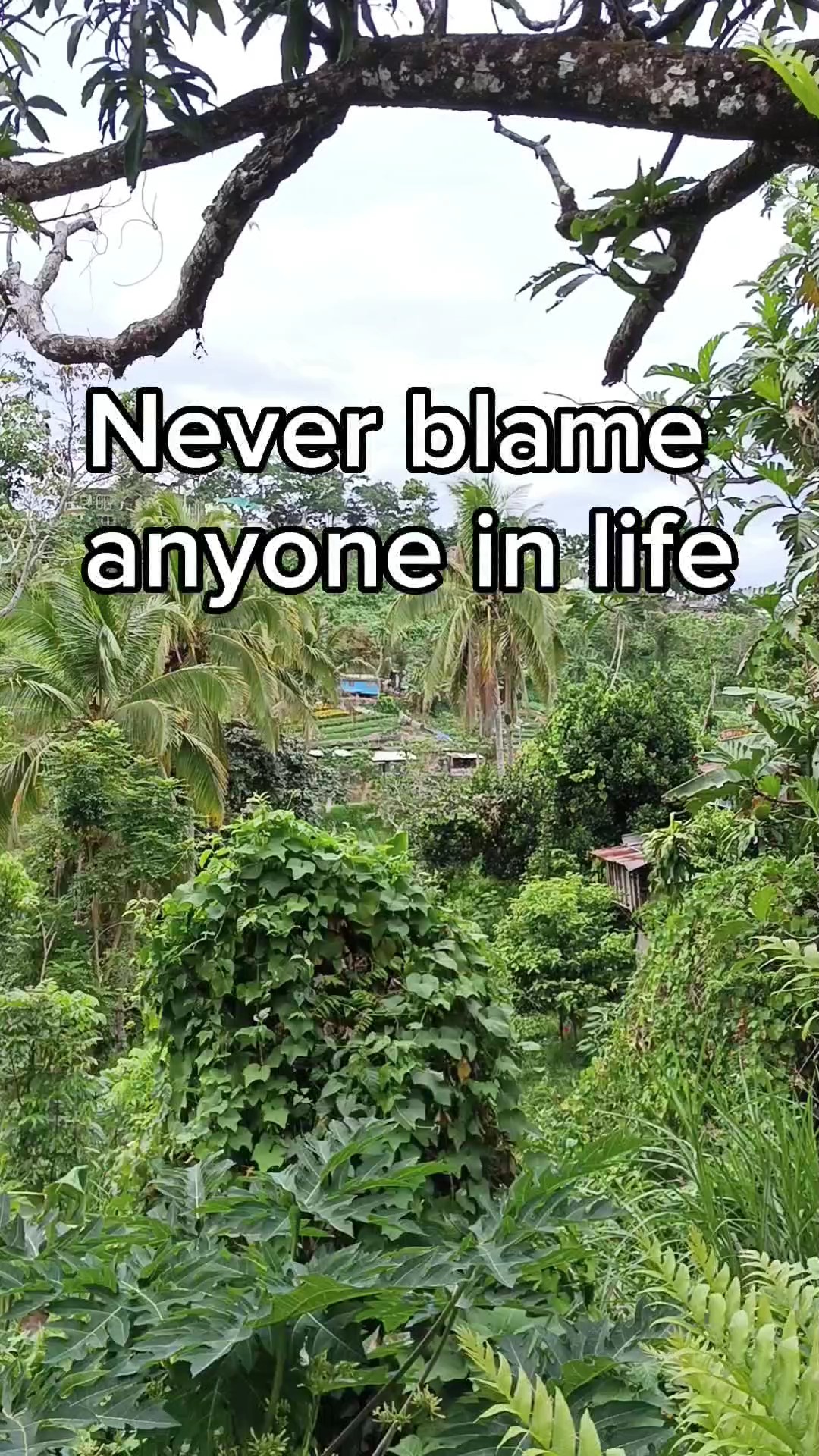 Never Blame 