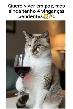 gato vingativo 