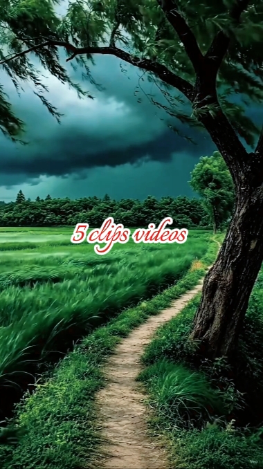 5 clips videos 