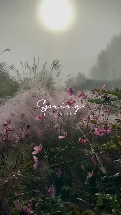 spring diaries